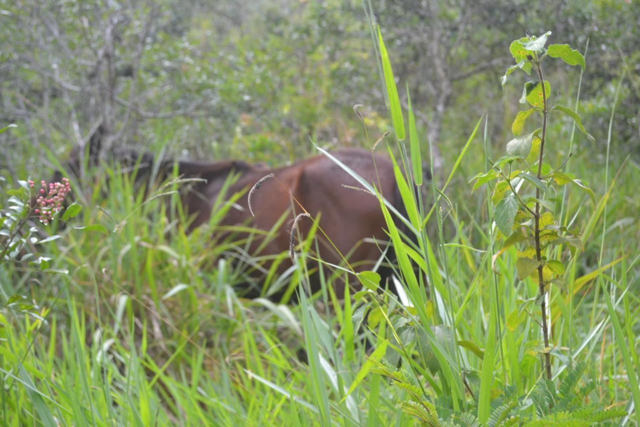 Hotel Fazenda Aldeia Do Vale Jacareí エクステリア 写真